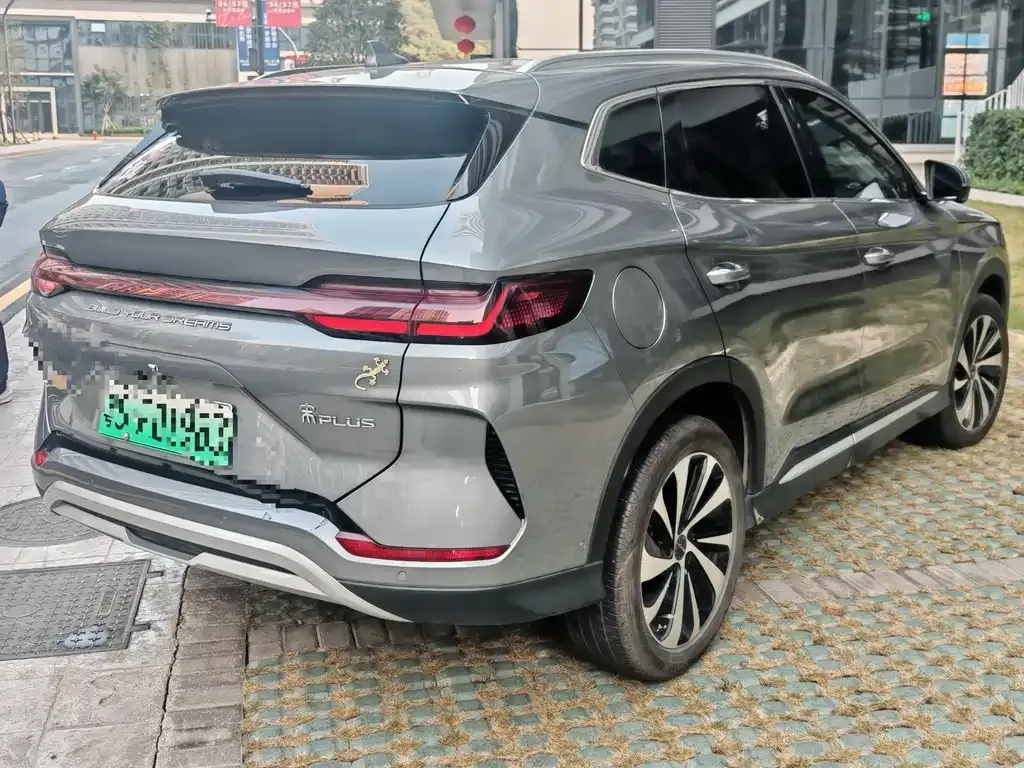BYD PLUS New Energy 2024 из CN, фото 2