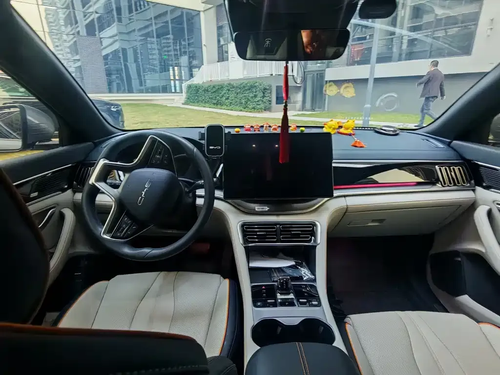 BYD PLUS New Energy 2024 из CN, фото 4