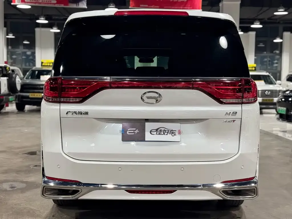 GAC Motor Trumpchi M8 2023 из CN, фото 10