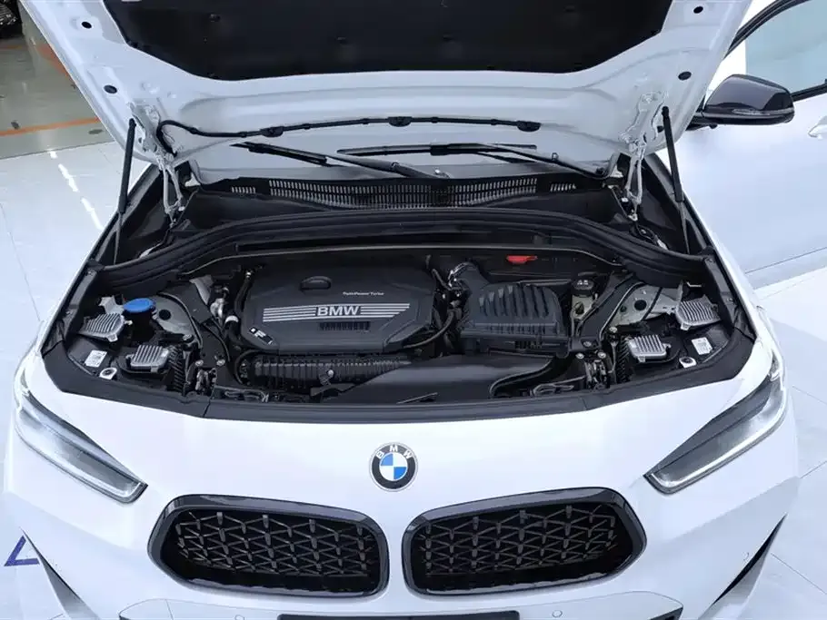 BMW X2 2023 из CN, фото 8