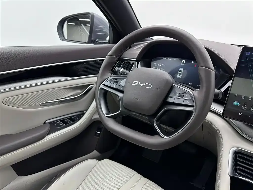 BYD PLUS New Energy 2025 из CN, фото 9