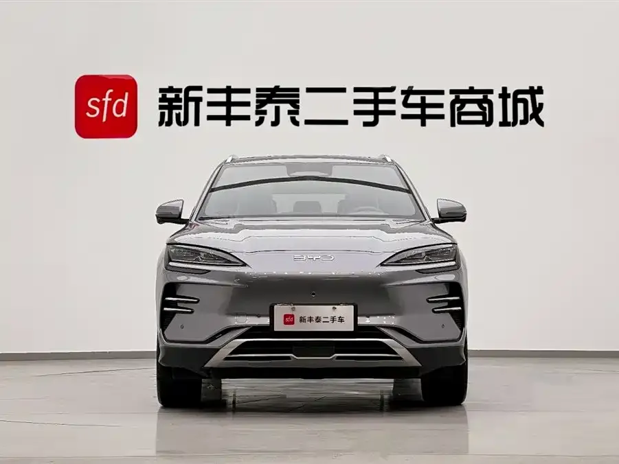 BYD PLUS New Energy 2025 из CN, фото 2
