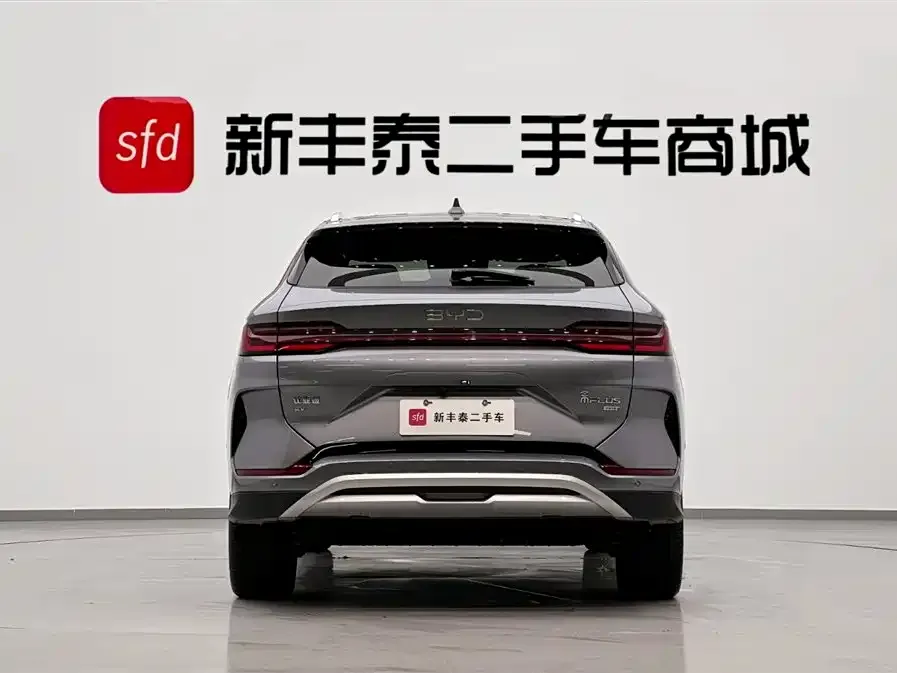 BYD PLUS New Energy 2025 из CN, фото 6