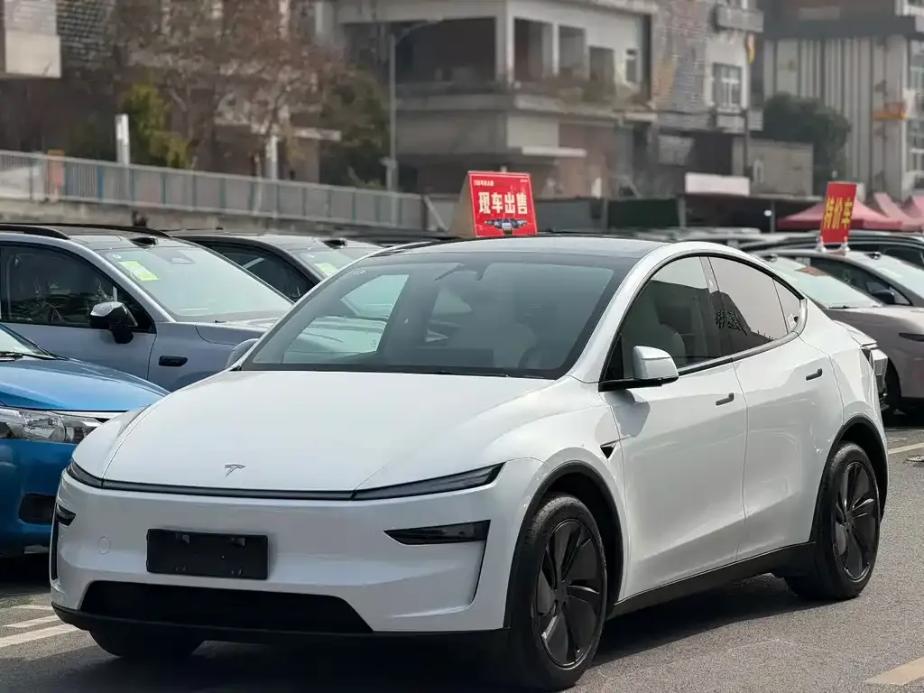 Tesla Model Y 2025 из CN, фото 1