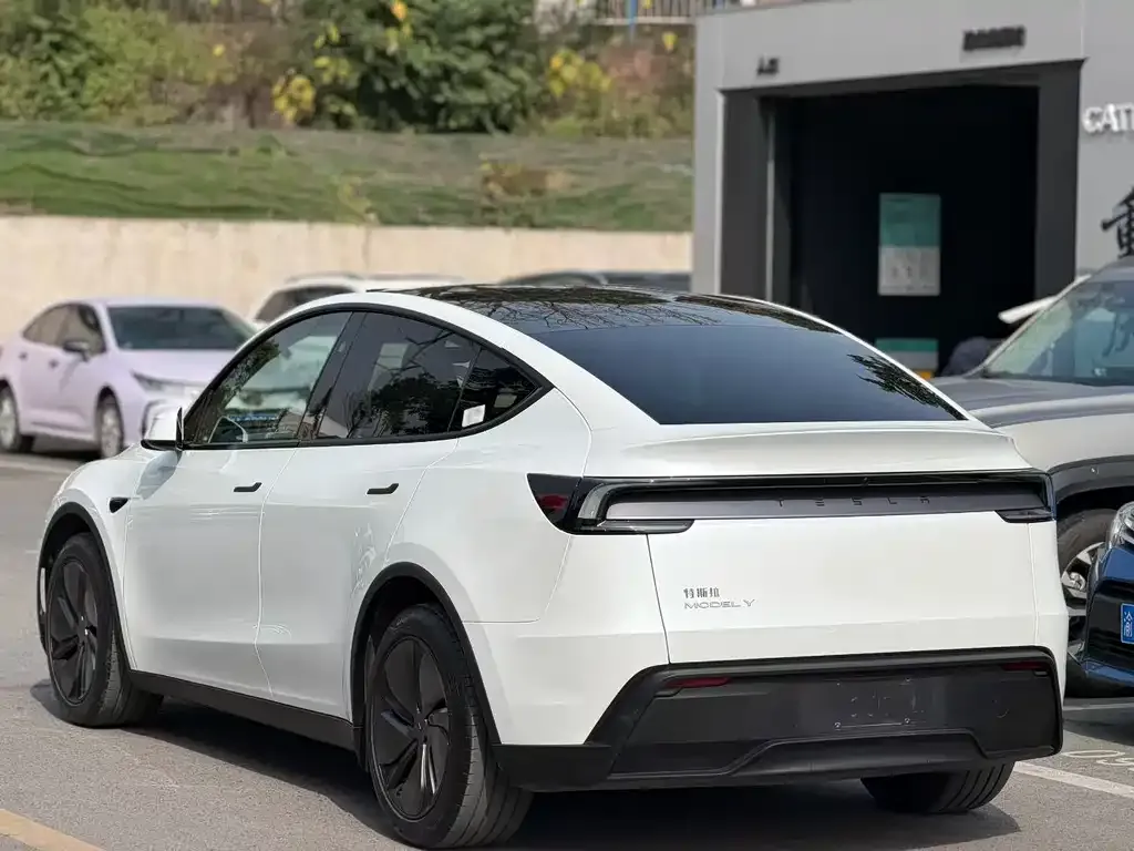 Tesla Model Y 2025 из CN, фото 8