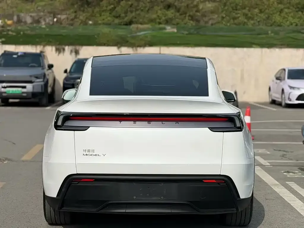 Tesla Model Y 2025 из CN, фото 3