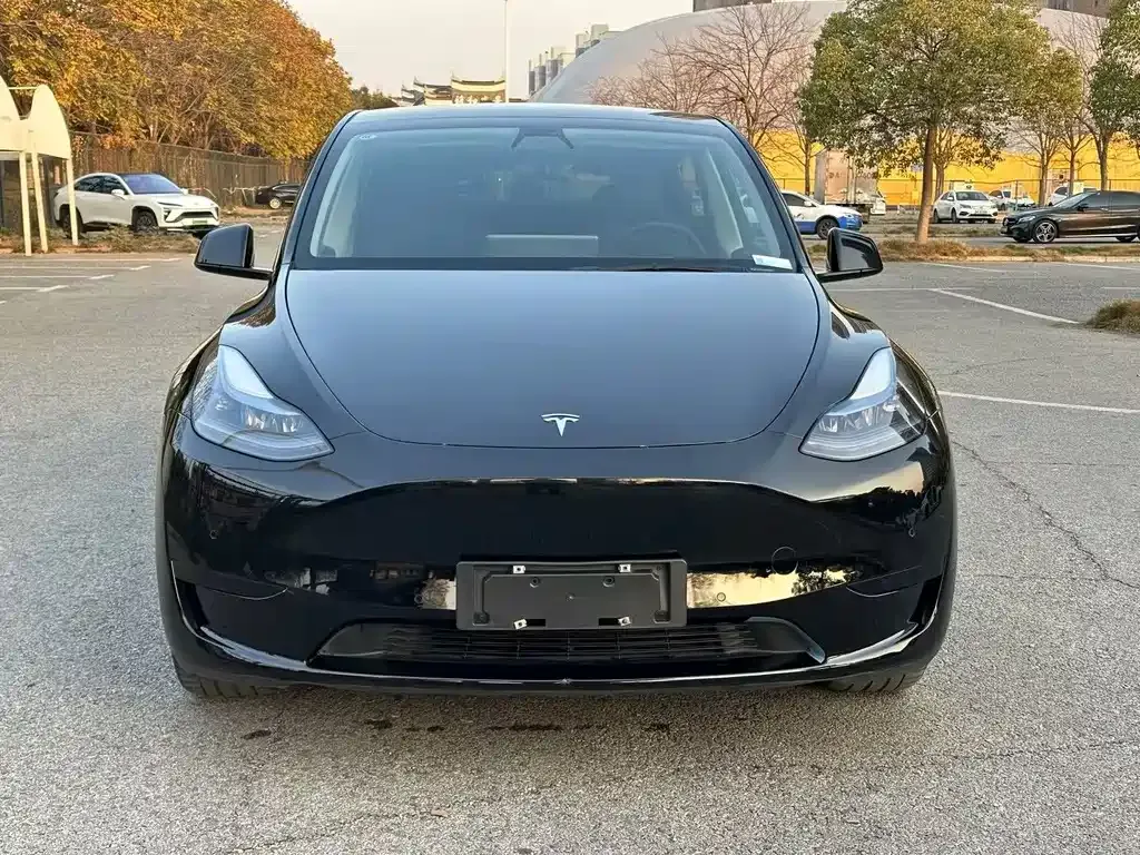 Tesla Model Y — фото 8