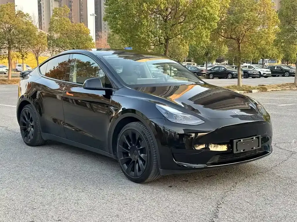 Tesla Model Y — фото 9