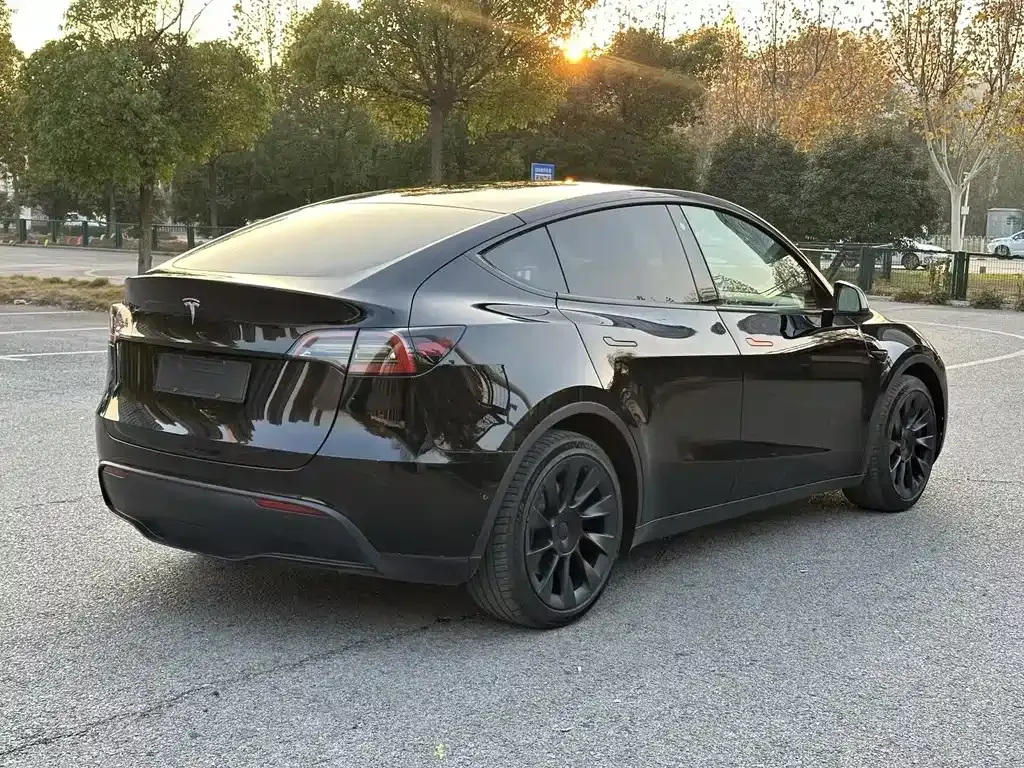 Tesla Model Y — фото 2