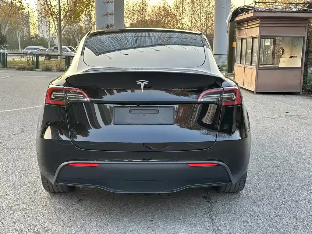 Tesla Model Y — фото 5