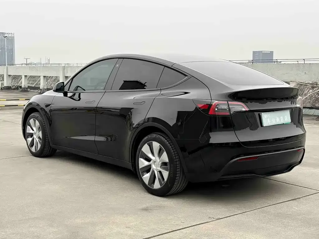 Tesla Model Y — фото 10