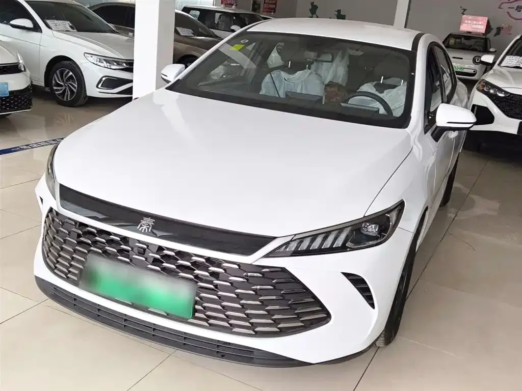 BYD Qin PLUS — фото 2