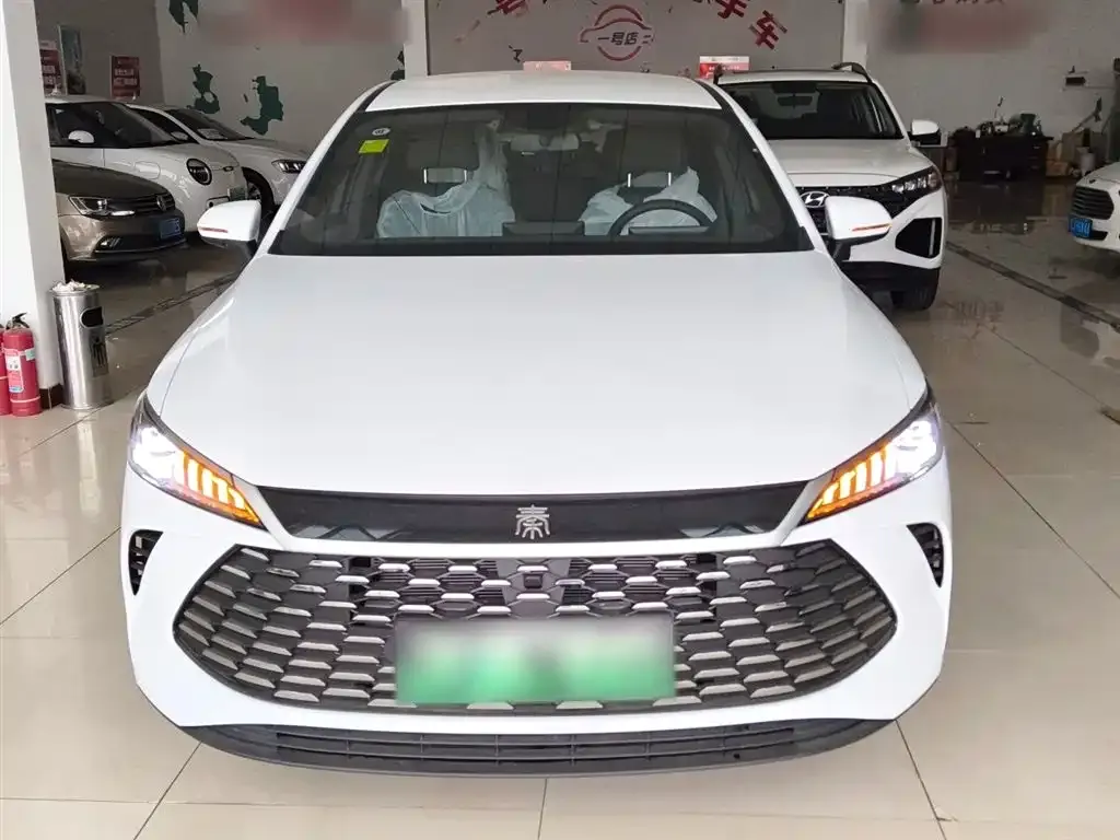 BYD Qin PLUS — фото 6