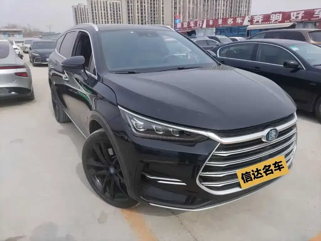 BYD Tang New Energy 2021 из CN, фото 4