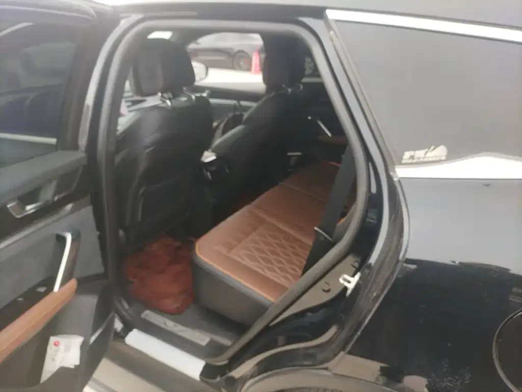 BYD Tang New Energy 2021 из CN, фото 5