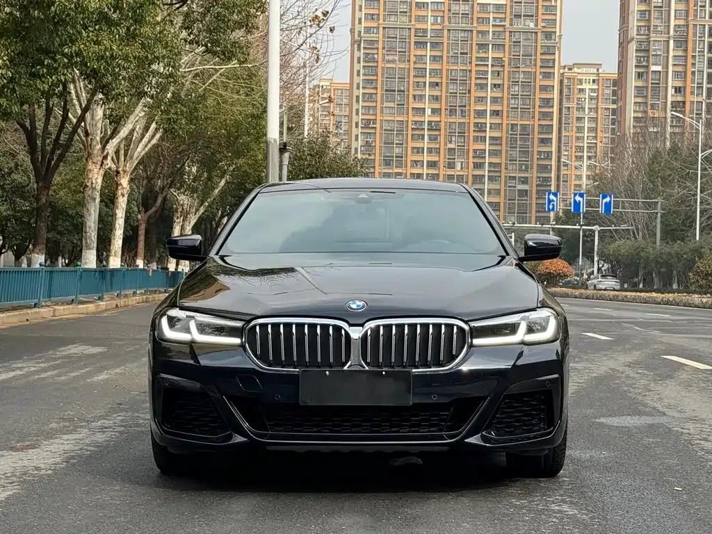 BMW 5 Series 2022 из CN, фото 1