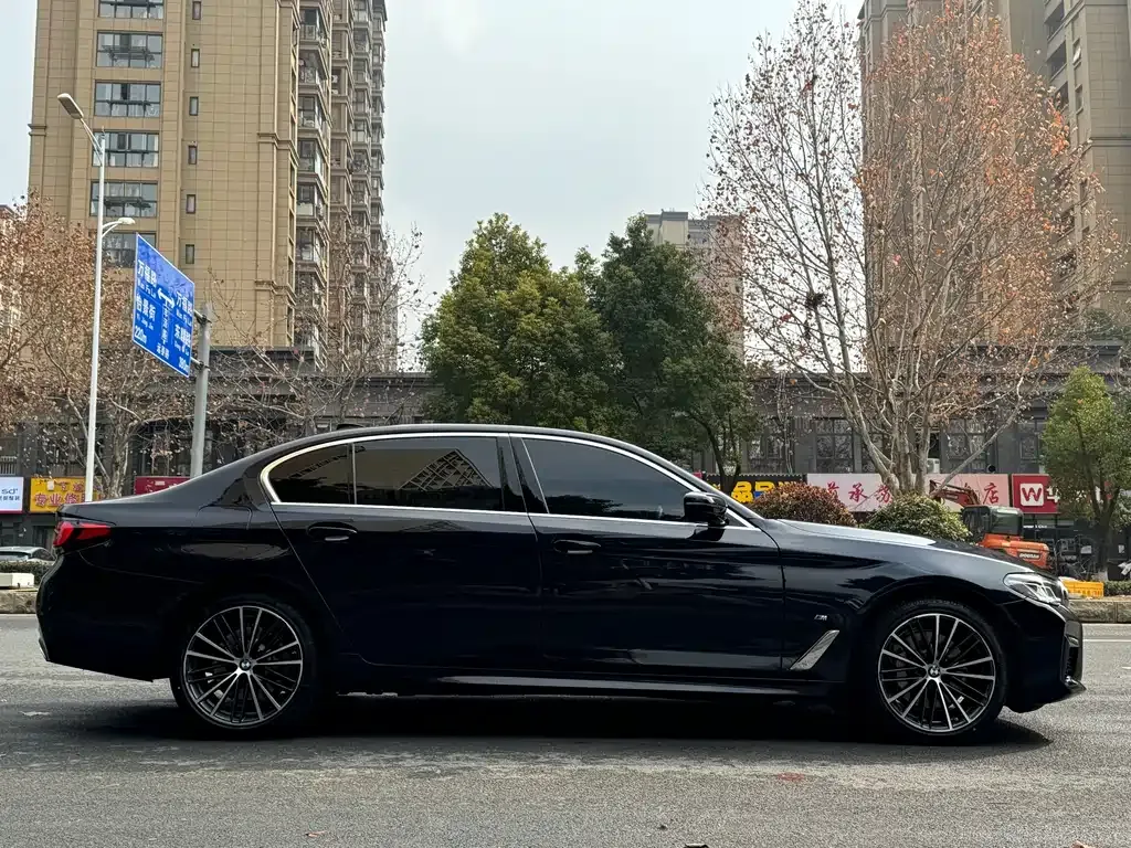BMW 5 Series 2022 из CN, фото 10