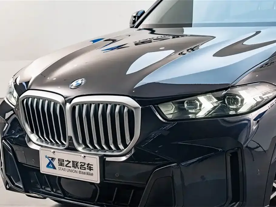 BMW X5 — фото 10