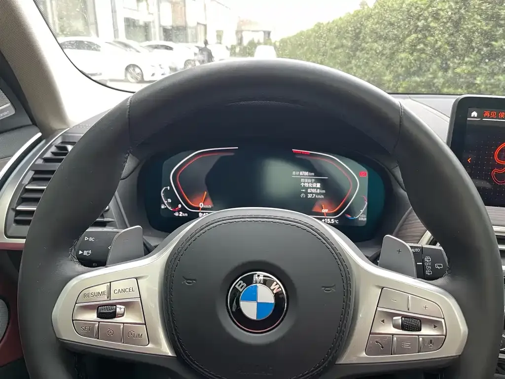 BMW X3 2024 из CN, фото 6