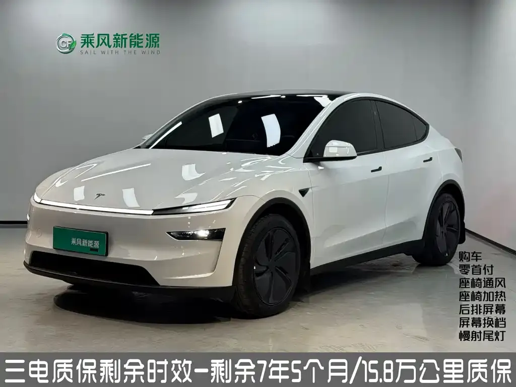 Tesla Model Y — фото 1