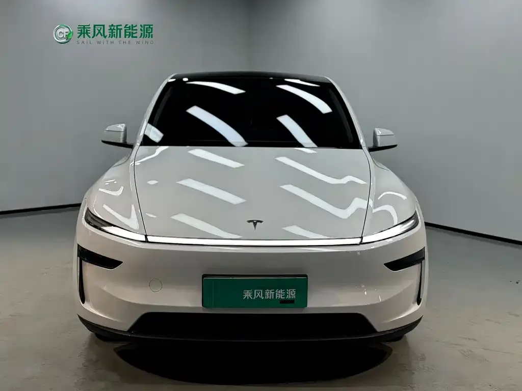 Tesla Model Y — фото 9