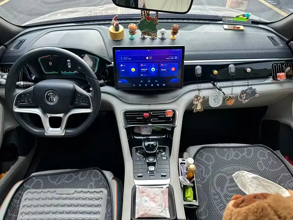 BYD PLUS New Energy — фото 2