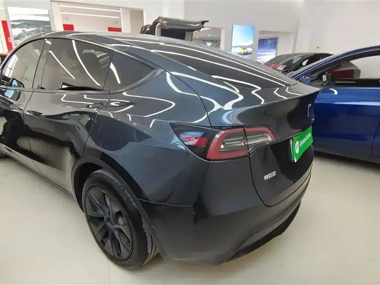 Tesla Model Y — фото 2