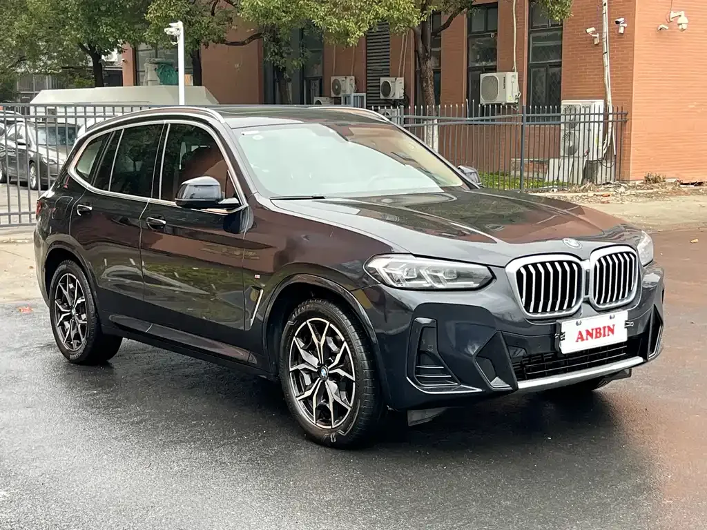 BMW X3 2023 из CN, фото 10