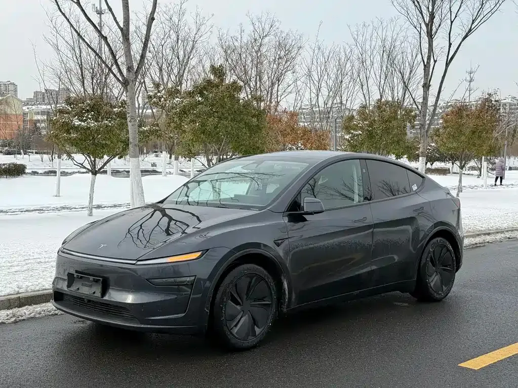 Tesla Model Y 2025 из CN, фото 1