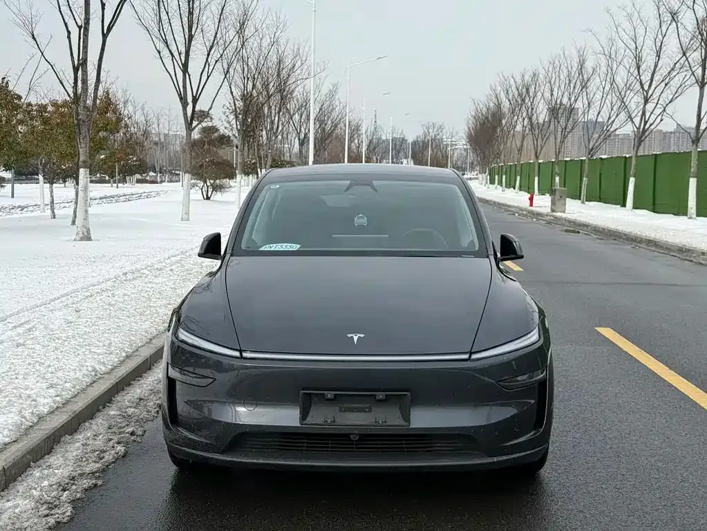 Tesla Model Y 2025 из CN, фото 5