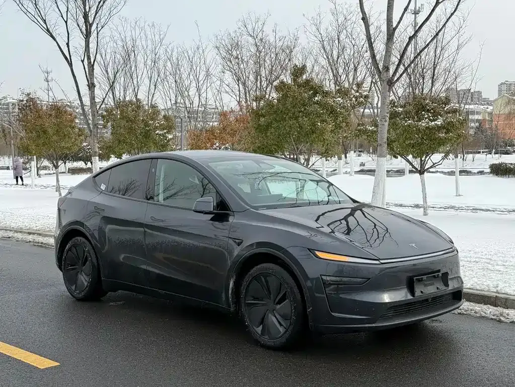 Tesla Model Y 2025 из CN, фото 8