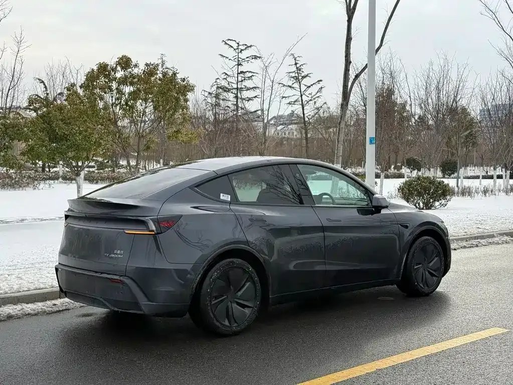 Tesla Model Y 2025 из CN, фото 9