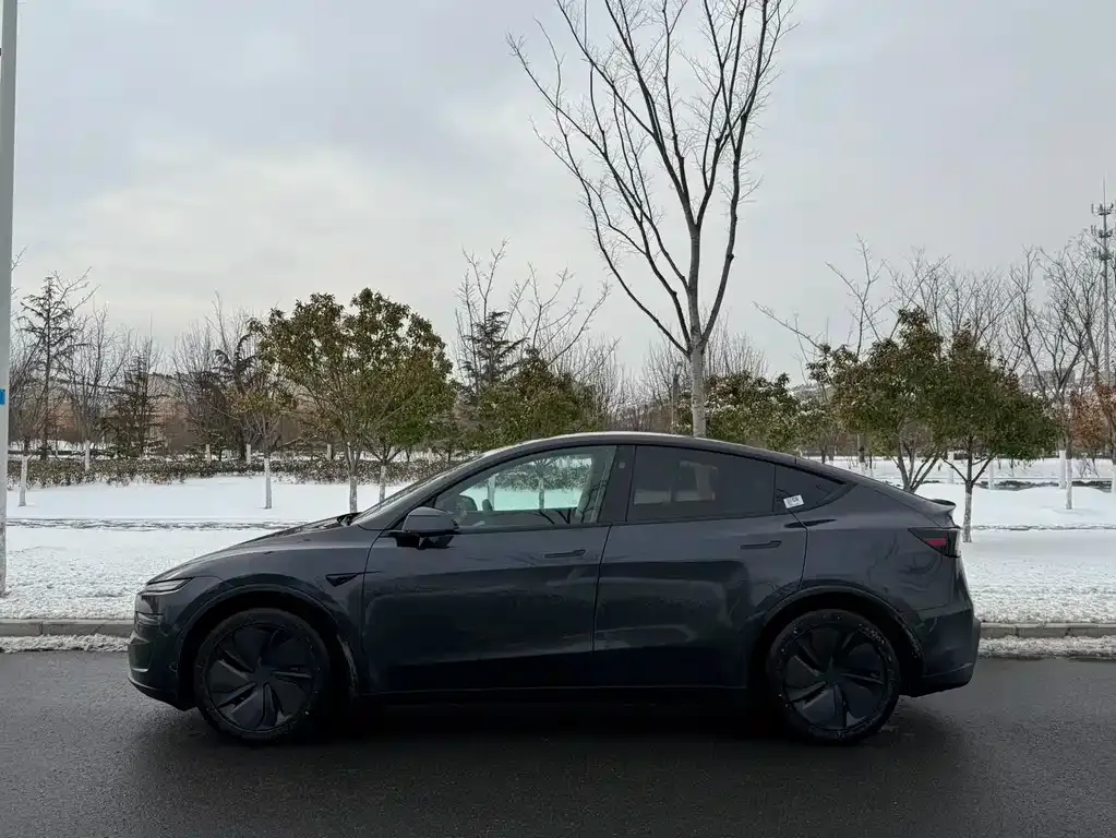 Tesla Model Y 2025 из CN, фото 3