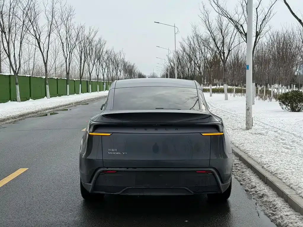 Tesla Model Y 2025 из CN, фото 7