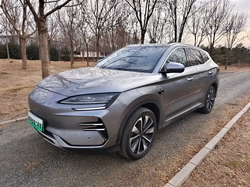 BYD PLUS New Energy 2025 из CN, фото 1