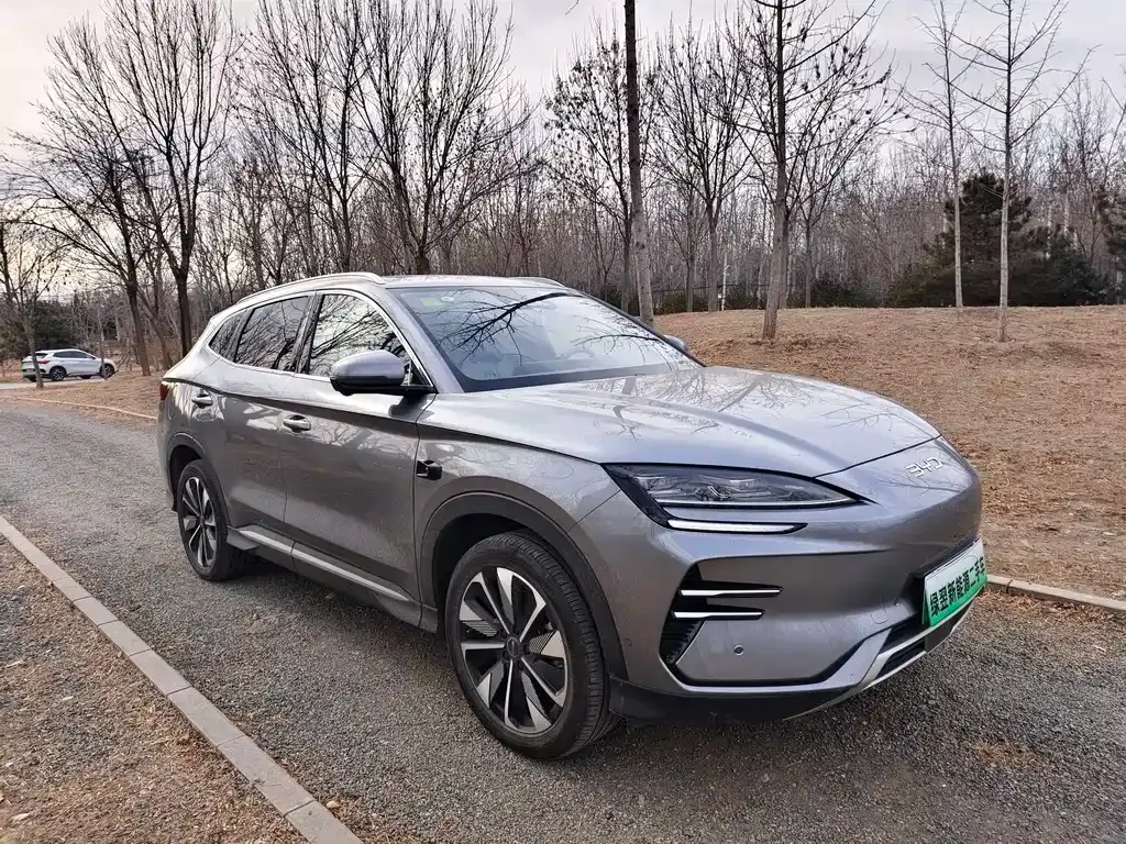 BYD PLUS New Energy 2025 из CN, фото 10