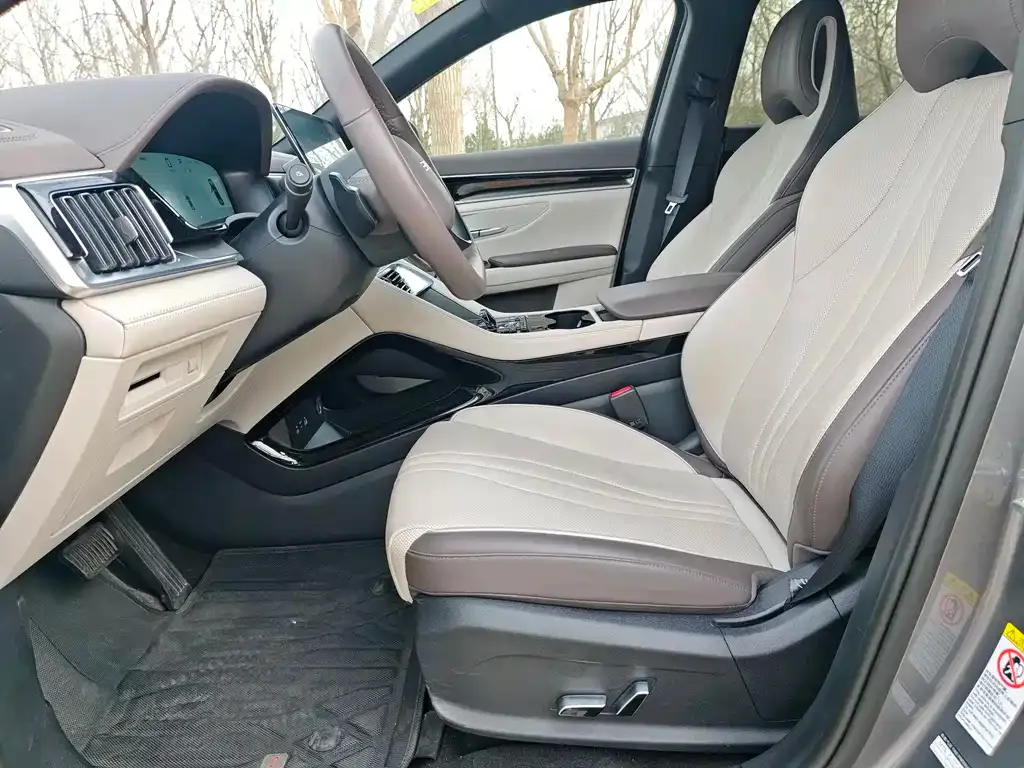 BYD PLUS New Energy 2025 из CN, фото 3