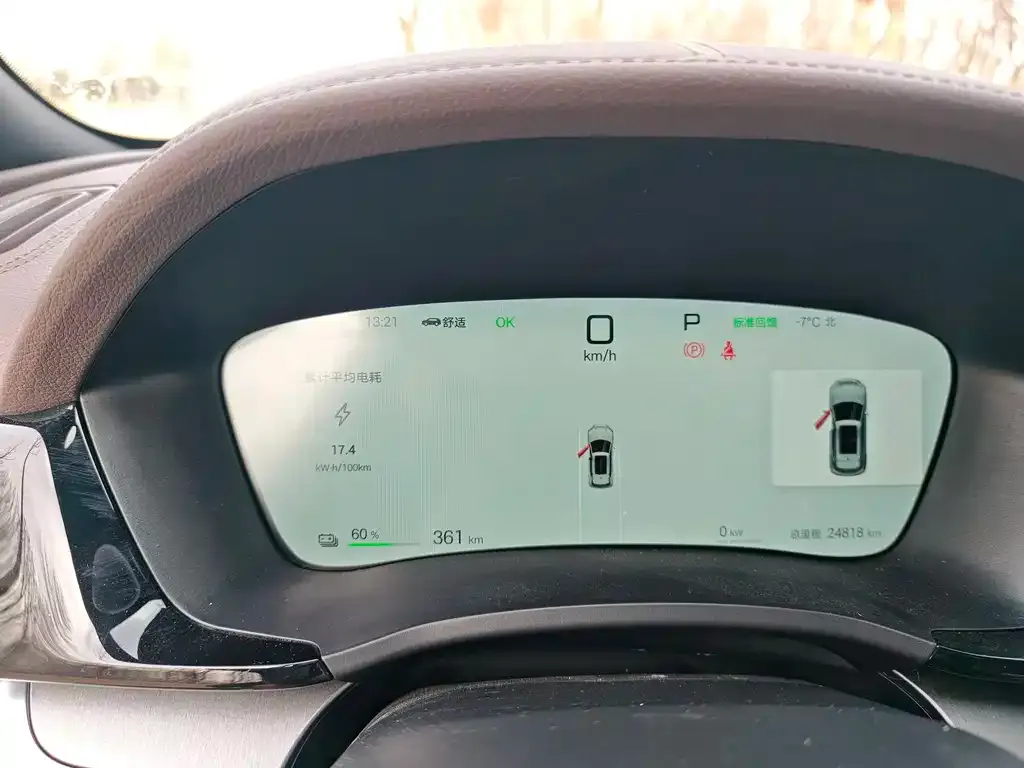 BYD PLUS New Energy 2025 из CN, фото 2