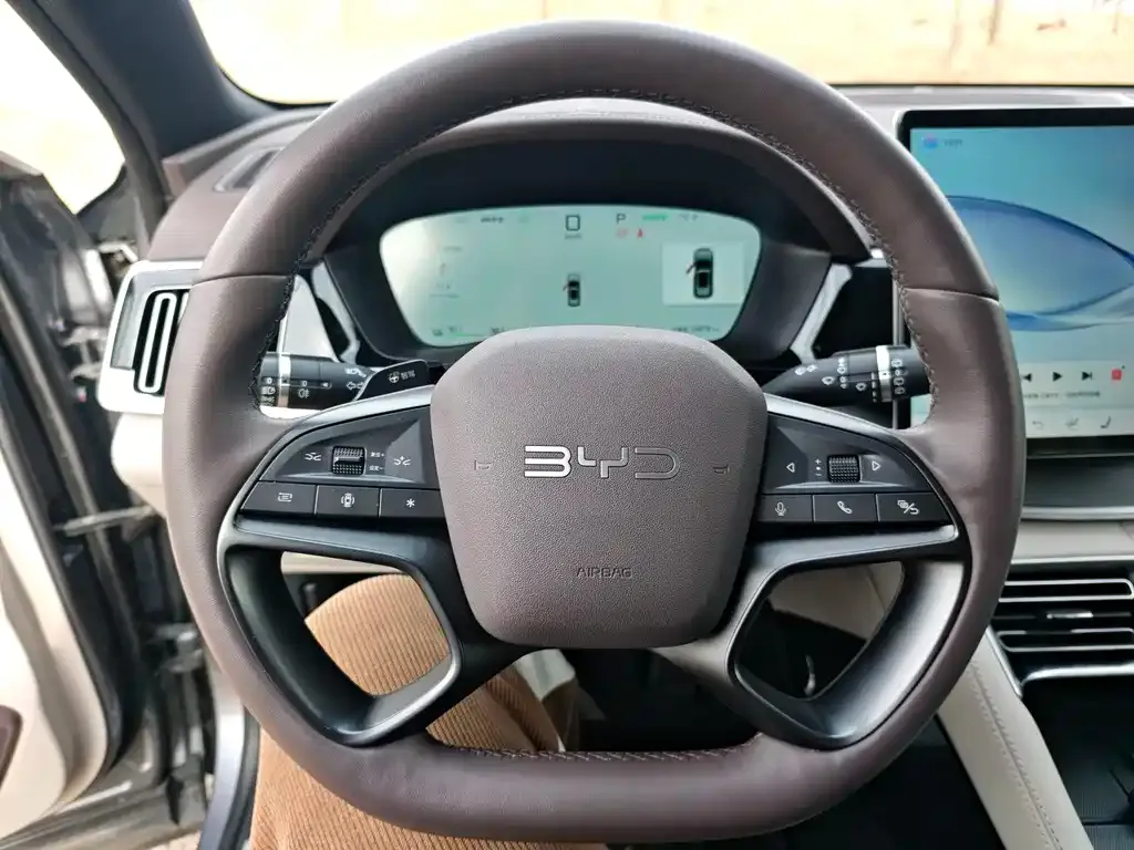 BYD PLUS New Energy 2025 из CN, фото 8