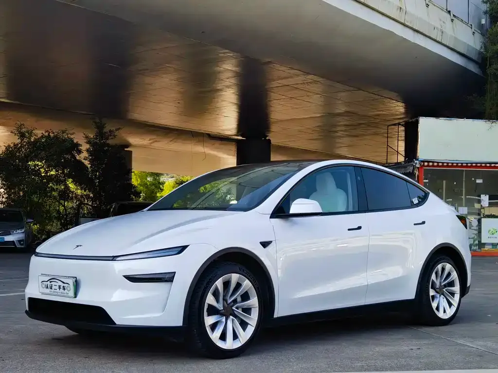 Tesla Model Y 2025 из CN, фото 1