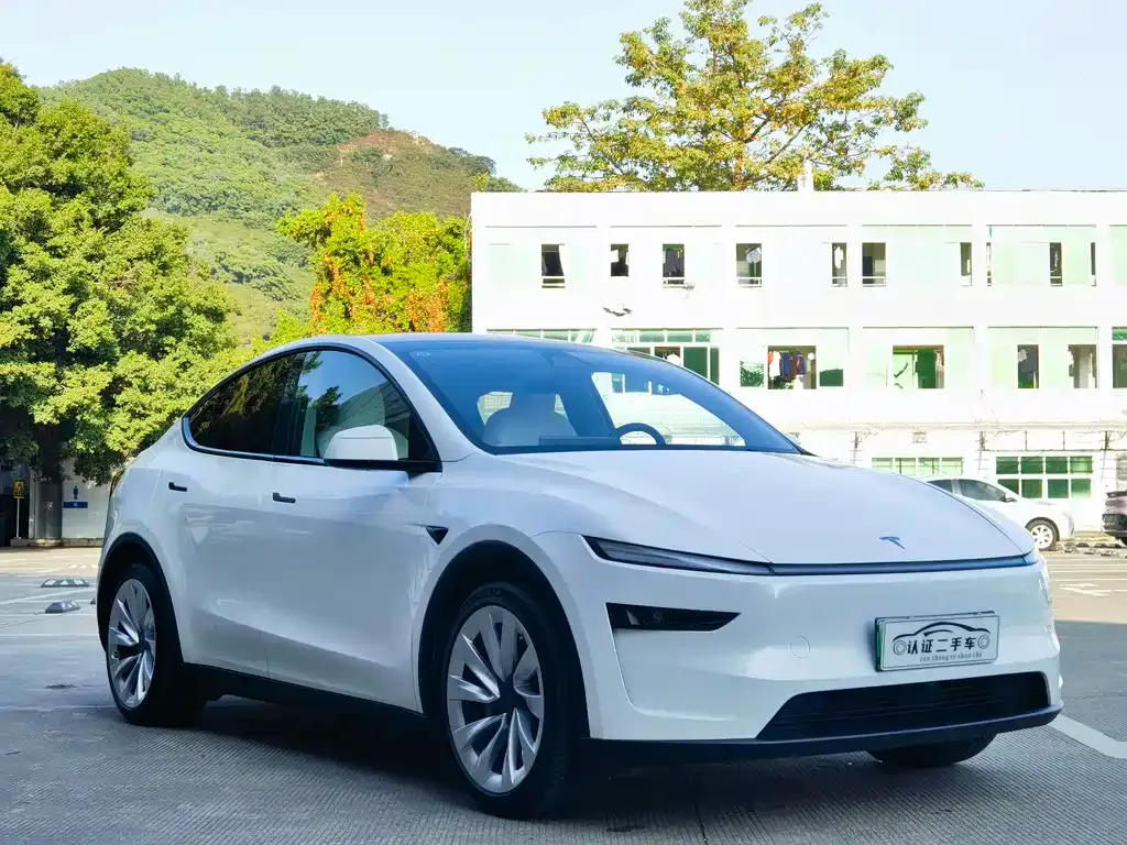 Tesla Model Y 2025 из CN, фото 8
