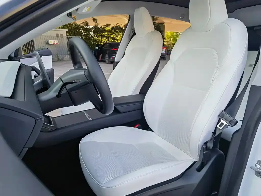 Tesla Model Y 2025 из CN, фото 7