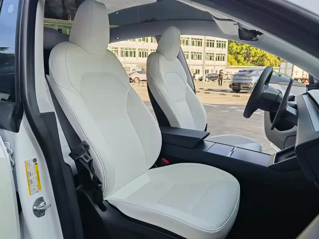 Tesla Model Y 2025 из CN, фото 4