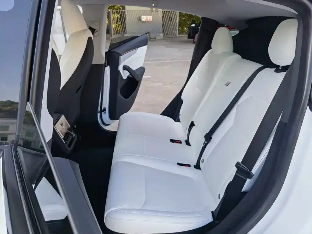 Tesla Model Y 2025 из CN, фото 2