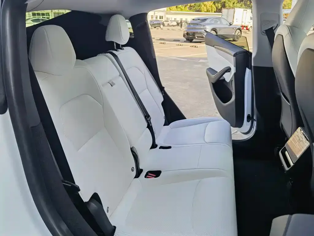 Tesla Model Y 2025 из CN, фото 6