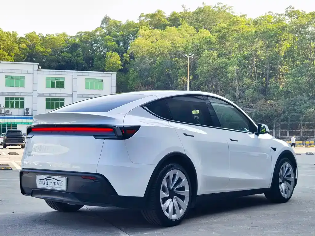 Tesla Model Y 2025 из CN, фото 5