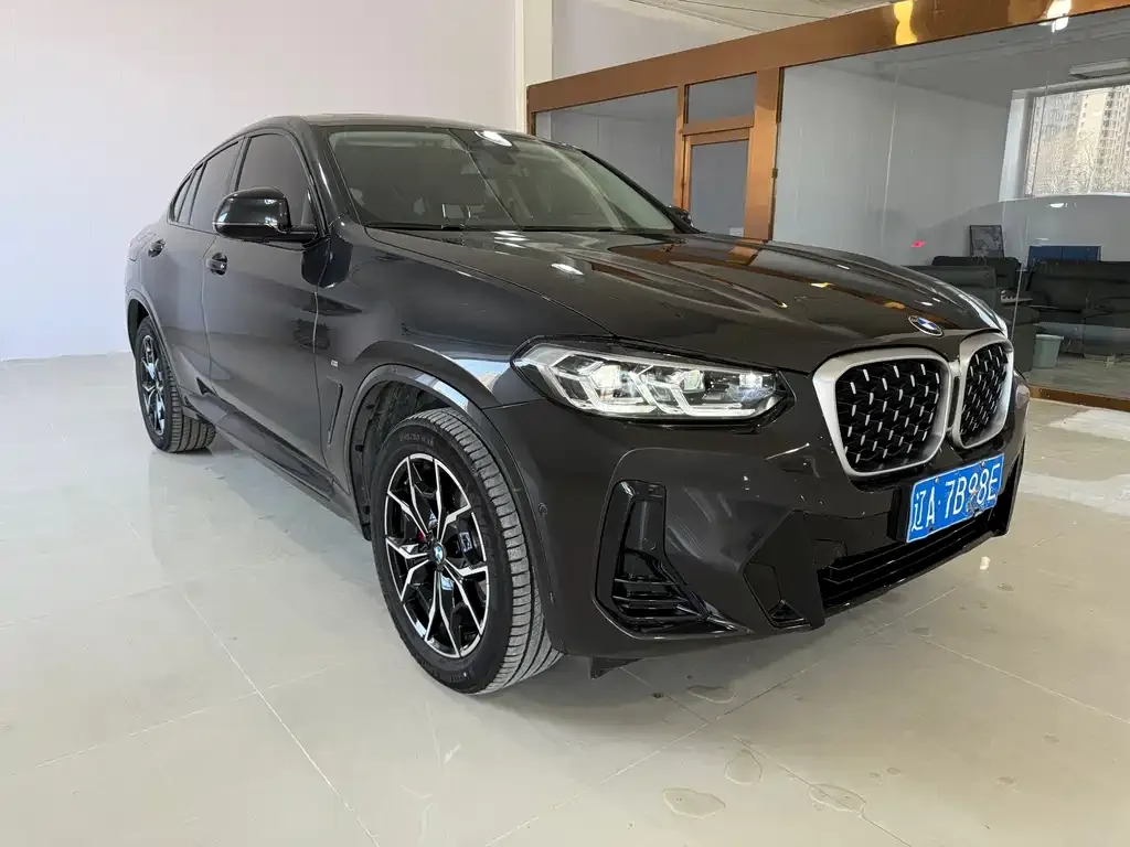 BMW X4 2025 из CN, фото 4