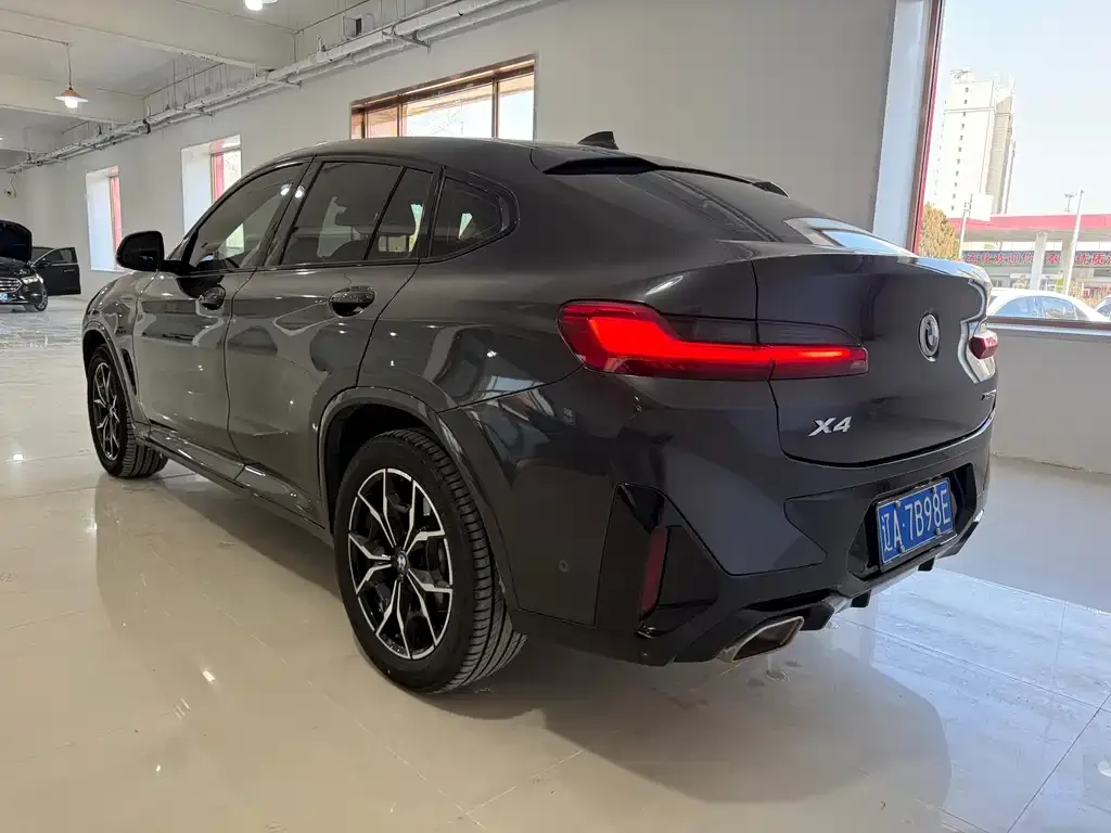 BMW X4 2025 из CN, фото 8