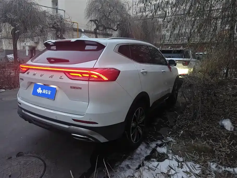 Haval H6 2024 из CN, фото 10