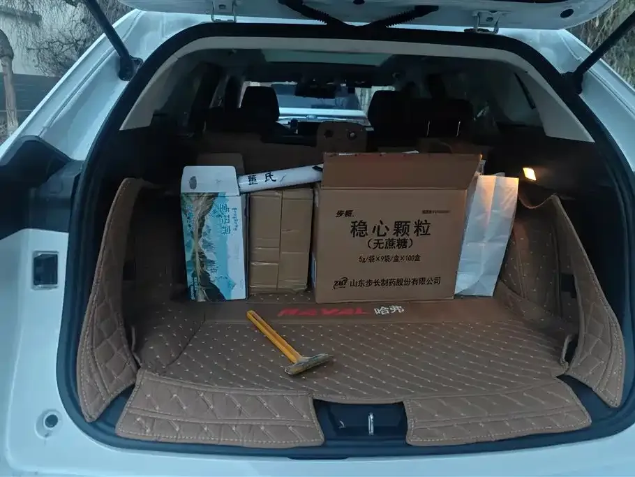 Haval H6 2024 из CN, фото 6